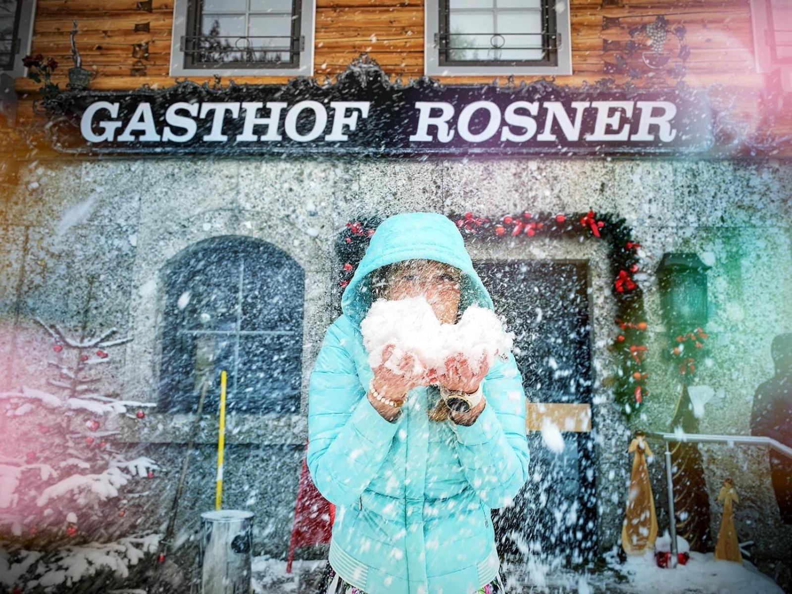 Hotel Rosner Альтенмаркт  Экстерьер фото